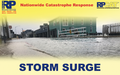 Storm Surge Preparedness: What You Need to Know