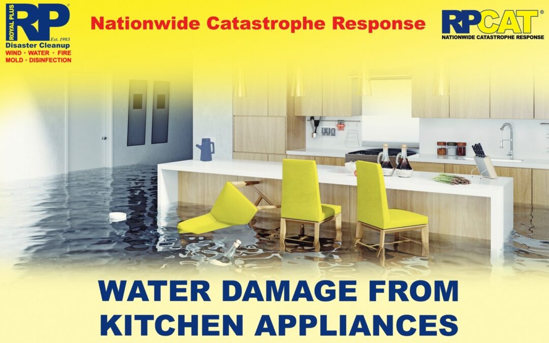 Water Damage from Kitchen Appliances