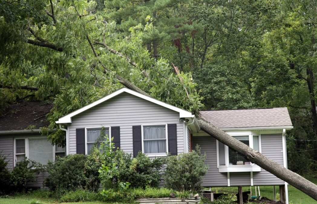 What You Should Do After Storm Damage