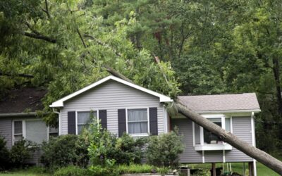 What You Should Do After Storm Damage