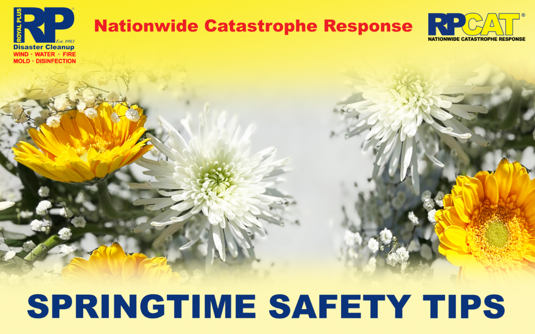 Springtime Safety