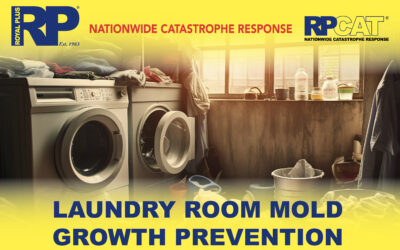 Laundry Room Mold Growth Prevention