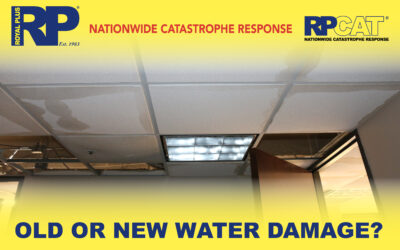 Water Damage – Is it Old or New?