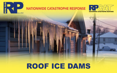 Roof Ice Dams