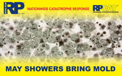 May Showers Bring Mold: How to Protect Your Home from Spring Water Damage