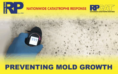 How to Prevent Mold Growth During Hot & Humid Months
