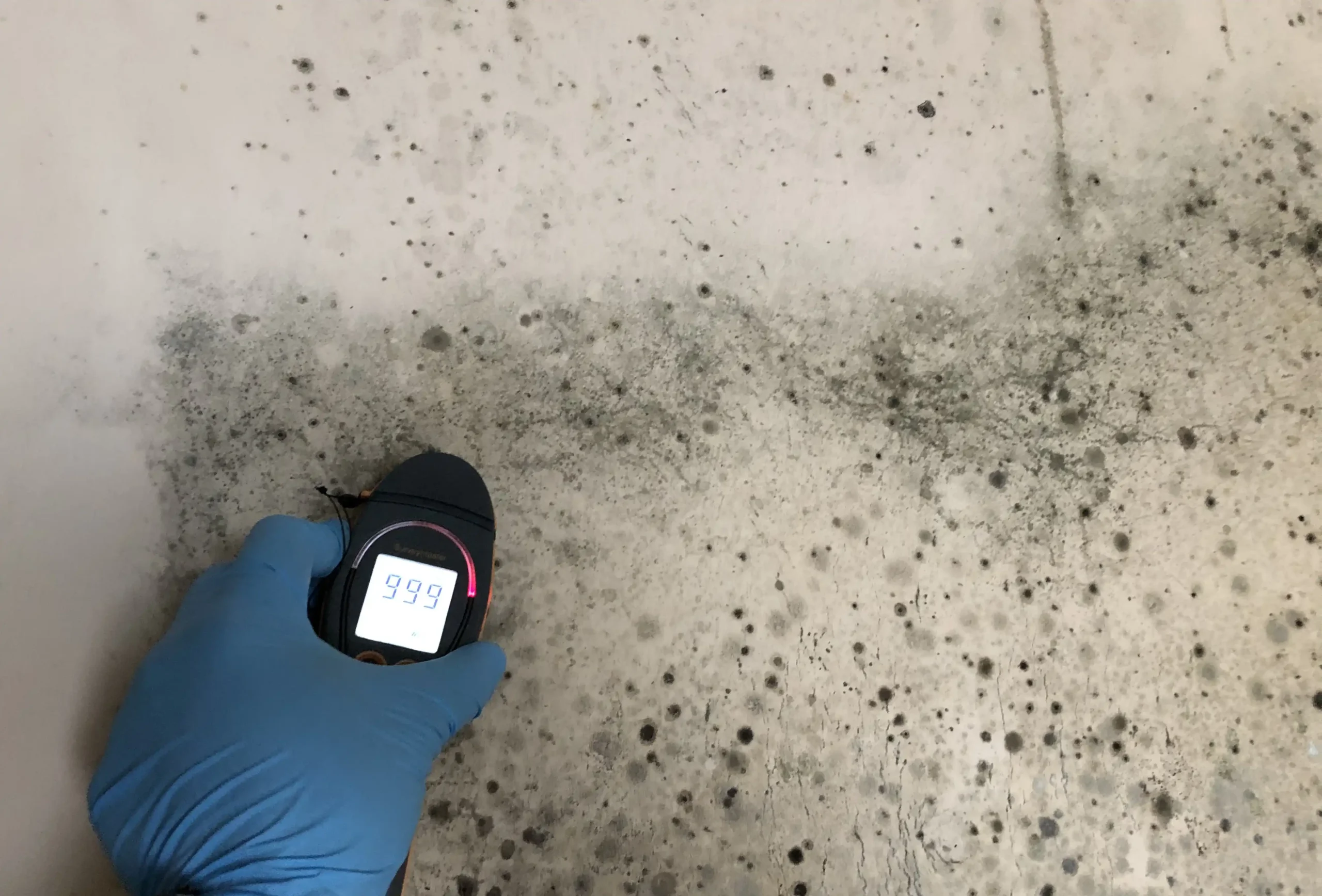 Body Image 2 Sanitation and Disinfection Services