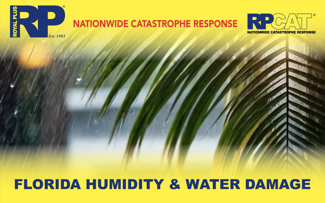 Florida Humidity & Water Damage: A Risky Mix