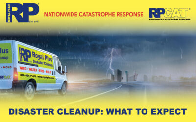 What to Expect When You Call Royal Plus