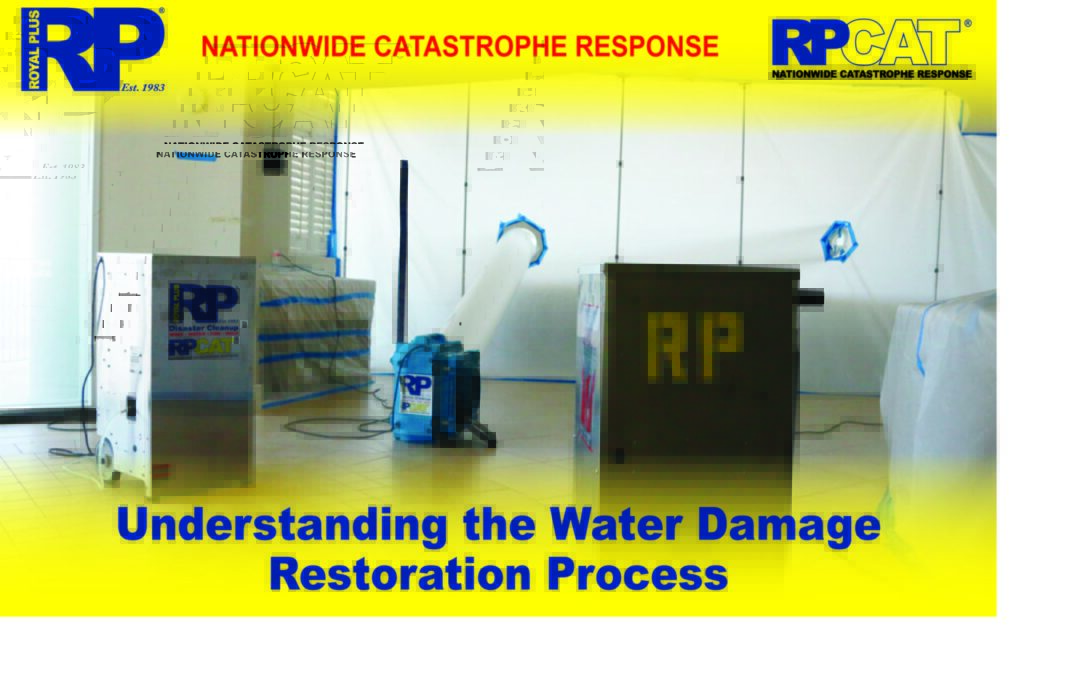 Understanding the Water Damage Restoration Process
